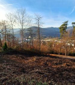 Freudenberg Bauplatz