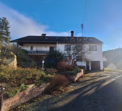 Außenanlage - Ansicht des Hauses von Westen